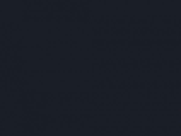 lew-pol.netlify.app
